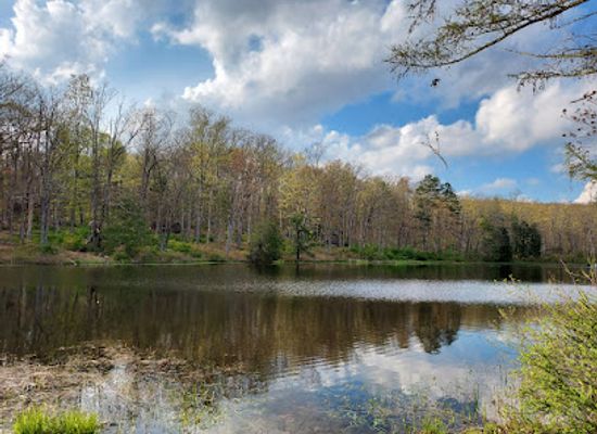 new-jersey/skylands-region/landmark/stokes-state-forest