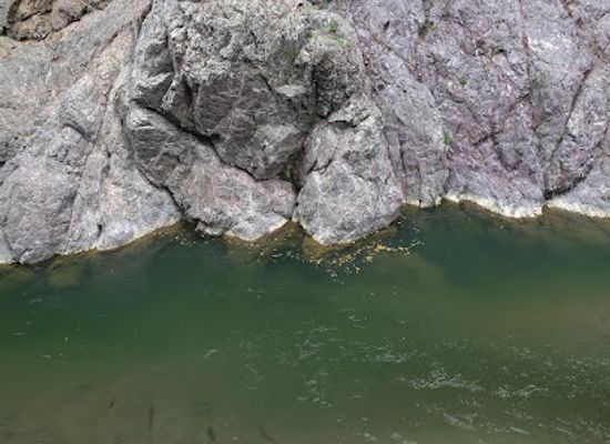 jamaica/middlesex-county/landmark/minha-river