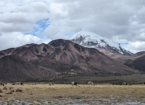 bolivia/andean-valleys/landmark/andean-ways-bolivia