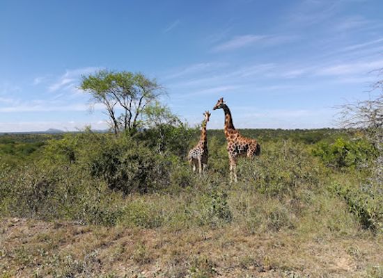 kenya/mount-kenya-region/landmark/mwea-national-reserve