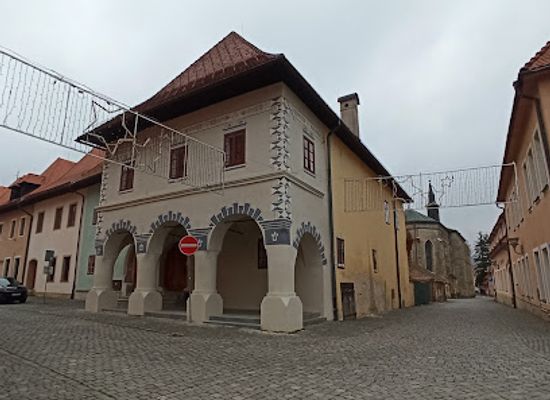 slovakia/saris/landmark/saris-region-museum