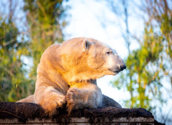 netherlands/wadden-islands/landmark/aquazoo-friesland