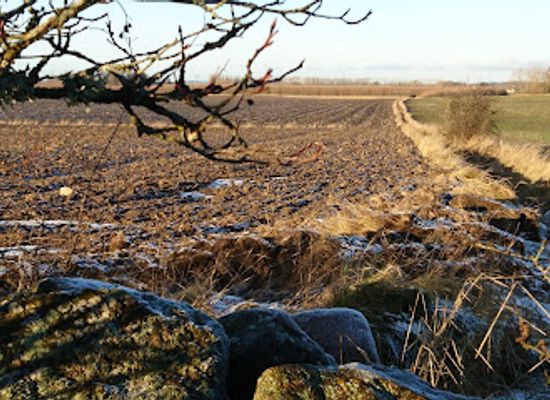 sweden/ostergotland/attraction/mortlosahagen-1
