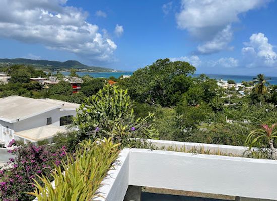 puerto-rico/vieques-island/landmark/mileta-azul
