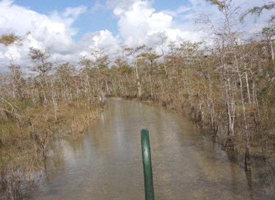 florida/big-cypress-national-preserve/landmark/big-cypress-institute