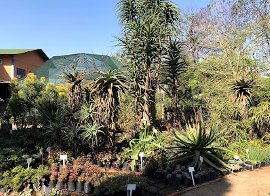 eswatini/malkerns-valley/landmark/vickery-s-cafe