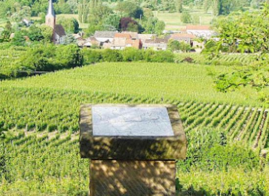 germany/upper-palatinate/landmark/lagenstein