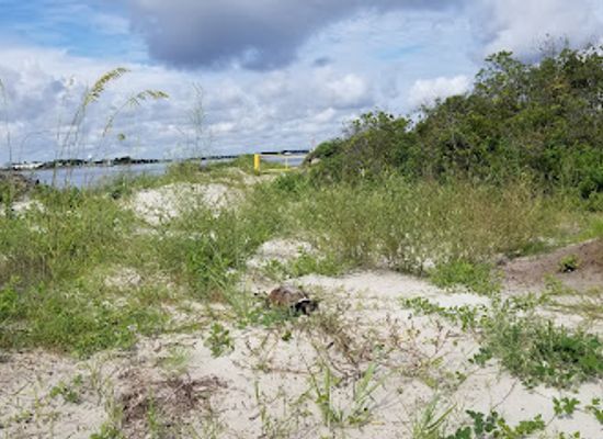 florida/northeast-florida/landmark/huguenot-memorial-park