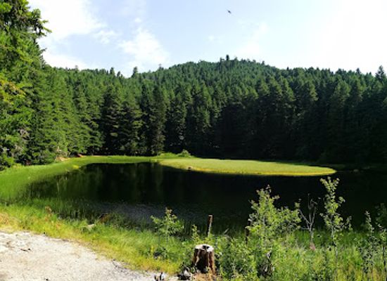 montenegro/lakes-of-plav/landmark/lake-visitor
