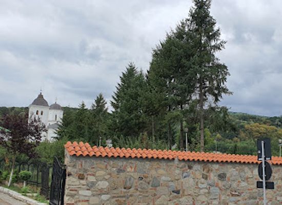 romania/ramnicu-valcea/landmark/petros-gyros-grill
