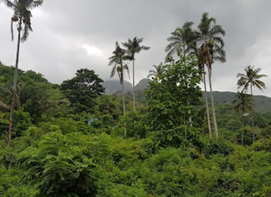 tanzania/mikumi-national-park/landmark/uluguru-mountains