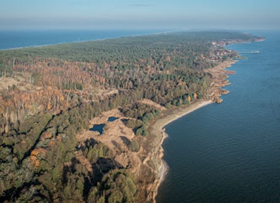 lithuania/nida-beach/landmark/juodkrante-colony-of-grey-herons-and-great-cormorants