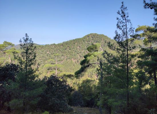 cyprus/cedar-valley/landmark/hiking-route-chorteri-nature-trail