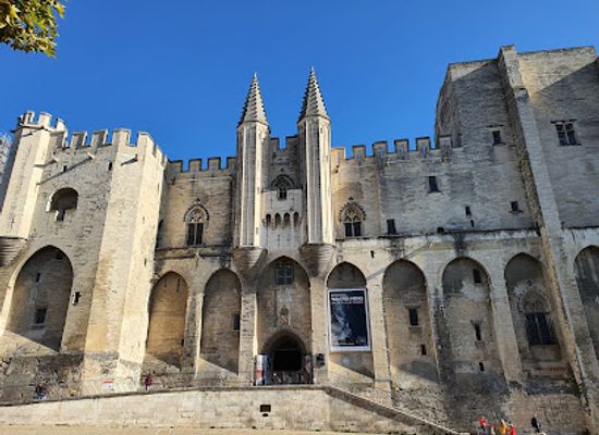 france/avignon/pont-saint-benezet/landmark/palais-des-papes