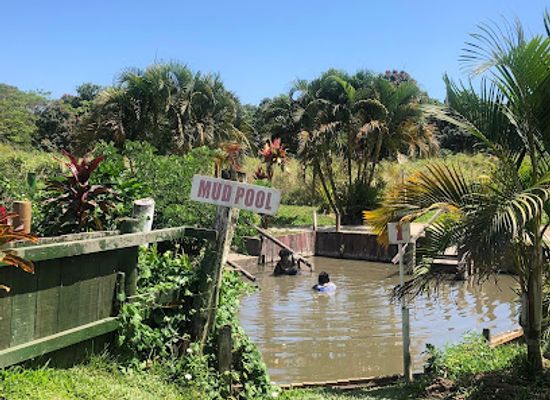 fiji/vanua-levu/landmark/sabeto-hot-spring-mud-pool-and-tours