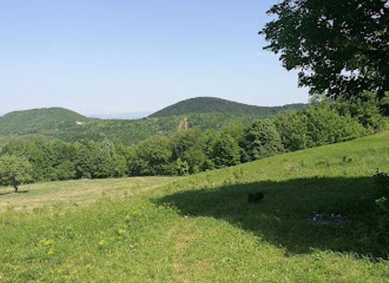 serbia/pomoravlje/landmark/crni-vrh