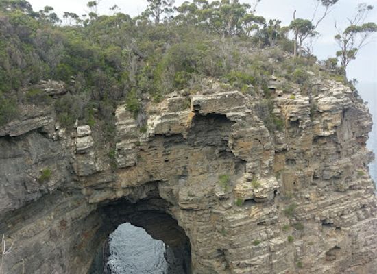 australia/tasman-peninsula/landmark/port-arthur-lavender