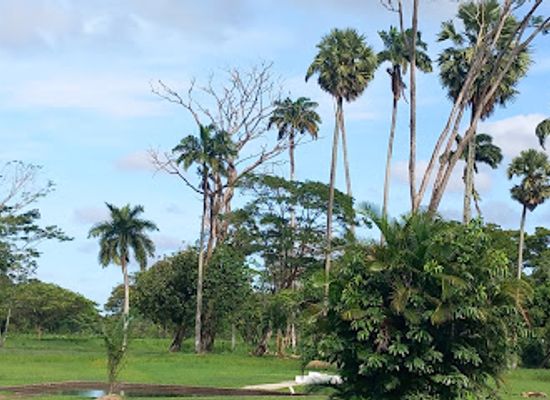 guyana/kanuku-mountains/landmark/the-place-of-the-seven-ponds
