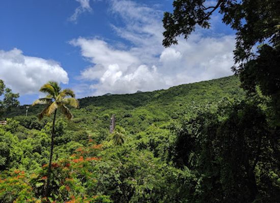 saint-kitts-and-nevis/cotton-ground/landmark/romney-manor