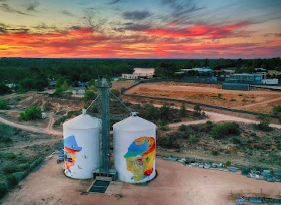 australia/riverland/landmark/paringa-silo-art