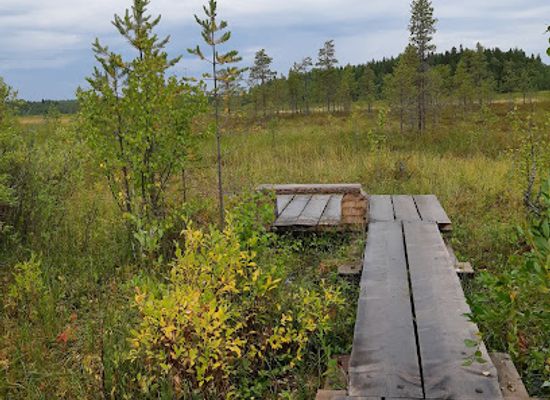 finland/oulu/landmark/pilpasuo-lean-to-shelter