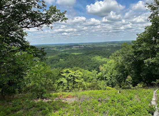 north-carolina/high-country/landmark/uwharrie-national-forest