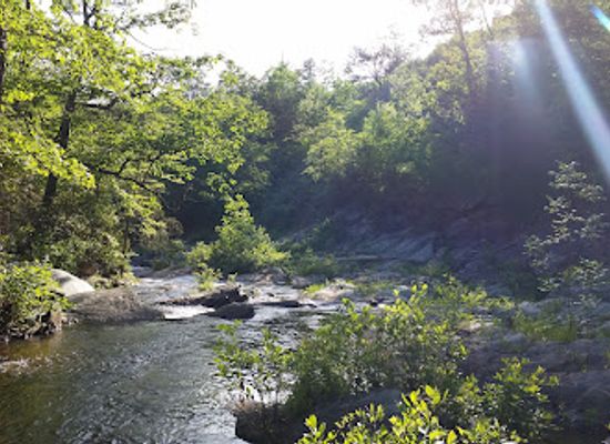 alabama/cheaha-state-park/landmark/cheaha-wilderness