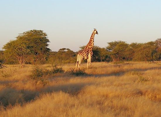 namibia/etosha-national-park/landmark/okonjima-nature-reserve