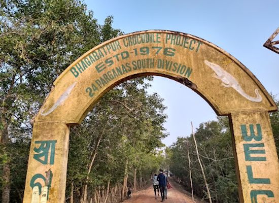 india/sundarbans/landmark/bhagabatpur-crocodile-project