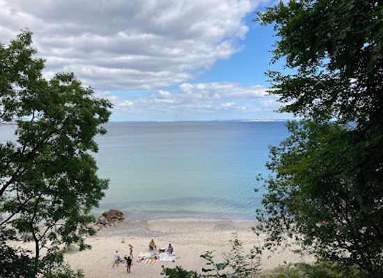 denmark/samso/attraction/marselisborg-deer-park