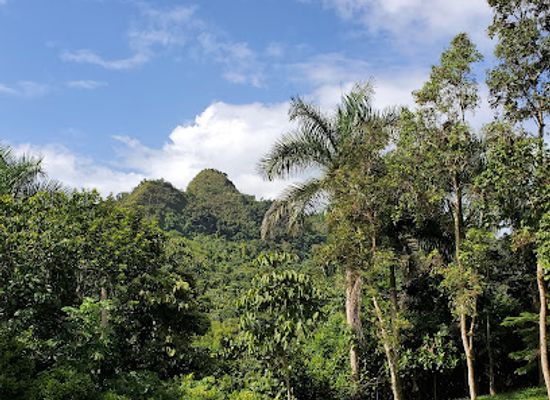 puerto-rico/la-cordillera-central/landmark/caguana-ceremonial-indigenous-heritage-center