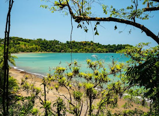 costa-rica/osa-peninsula/landmark/lookout-restaurant