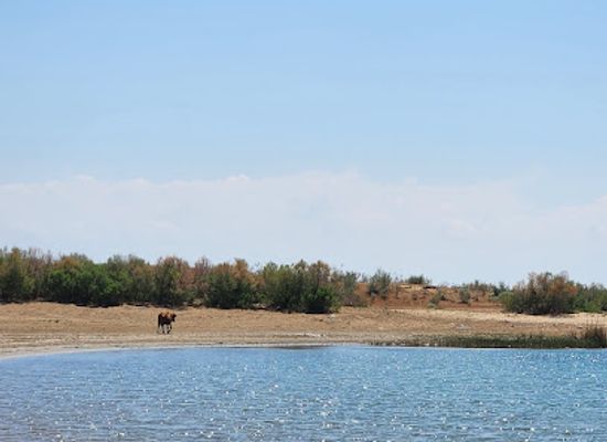 uzbekistan/aydarkul-lake/landmark/aydar-lake