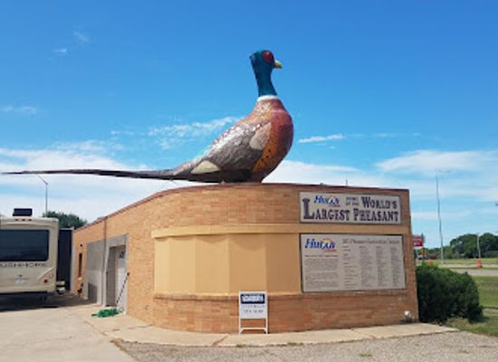 south-dakota/james-river-valley/landmark/world-s-largest-pheasant