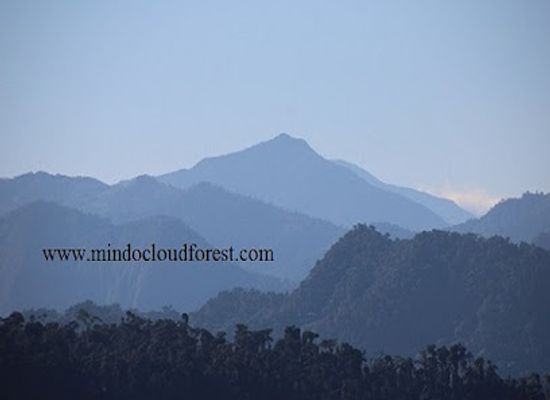 ecuador/mindo-cloud-forest/landmark/mindo-cloudforest-tours
