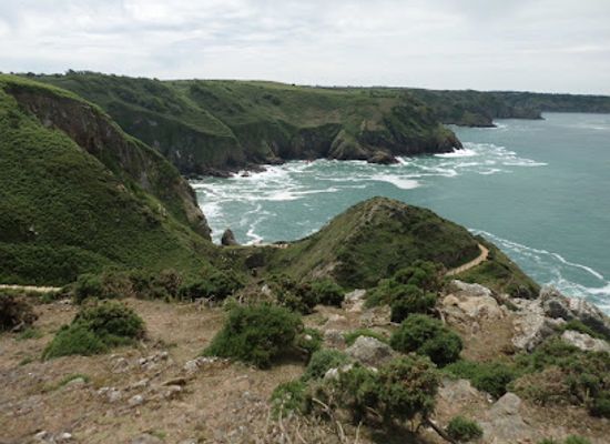 jersey/st-brelade/landmark/eric-young-orchid-foundation