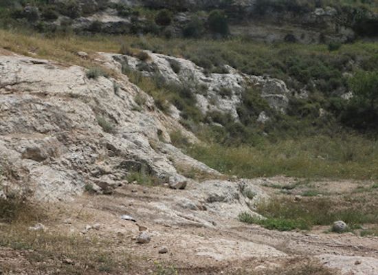 israel/modi-in/landmark/metspe-modiin