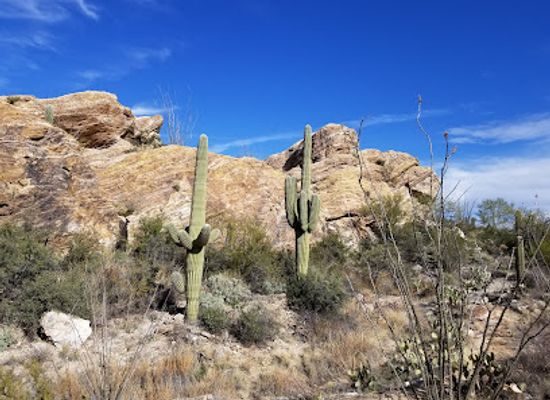 arizona/verde-valley/landmark/javelina-rocks