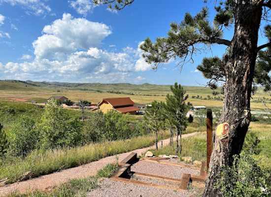 south-dakota/black-hills/landmark/bison-center