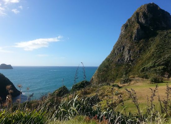 new-zealand/taranaki/landmark/paritutu-rock