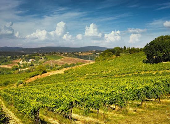 italy/siena/landmark/azienda-agricola-la-lastra