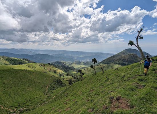 rwanda/byumba/landmark/gishwati-mukura-national-park-and-biosphere-reserve