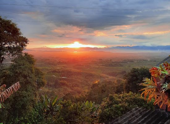 colombia/risaralda-department/landmark/la-divisa-de-don-juan-coffee-tour