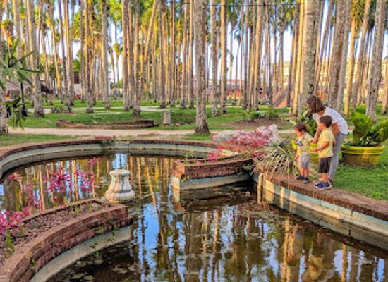 suriname/para-district/landmark/palmtree-garden