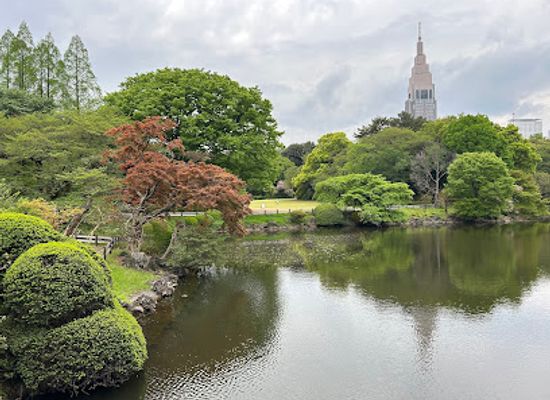 japan/kanto/landmark/shinjuku-gyoen-national-garden