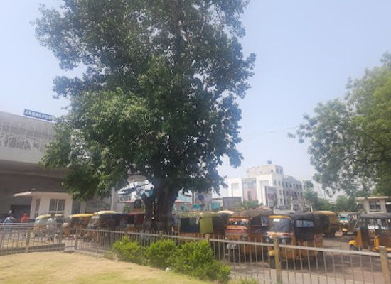 india/jabalpur/landmark/deers-statue-jabalpur-railway-staion