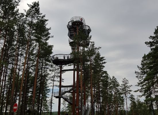 lithuania/dzukija/landmark/merkine-observation-tower