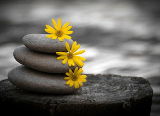 north-dakota/wahpeton/landmark/listening-hands-massage-llc