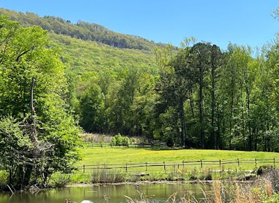 tennessee/chattanooga-valley/landmark/reflection-riding-arboretum-nature-center