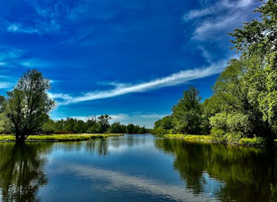 croatia/kopacki-rit-nature-park/landmark/kopacki-rit-nature-park